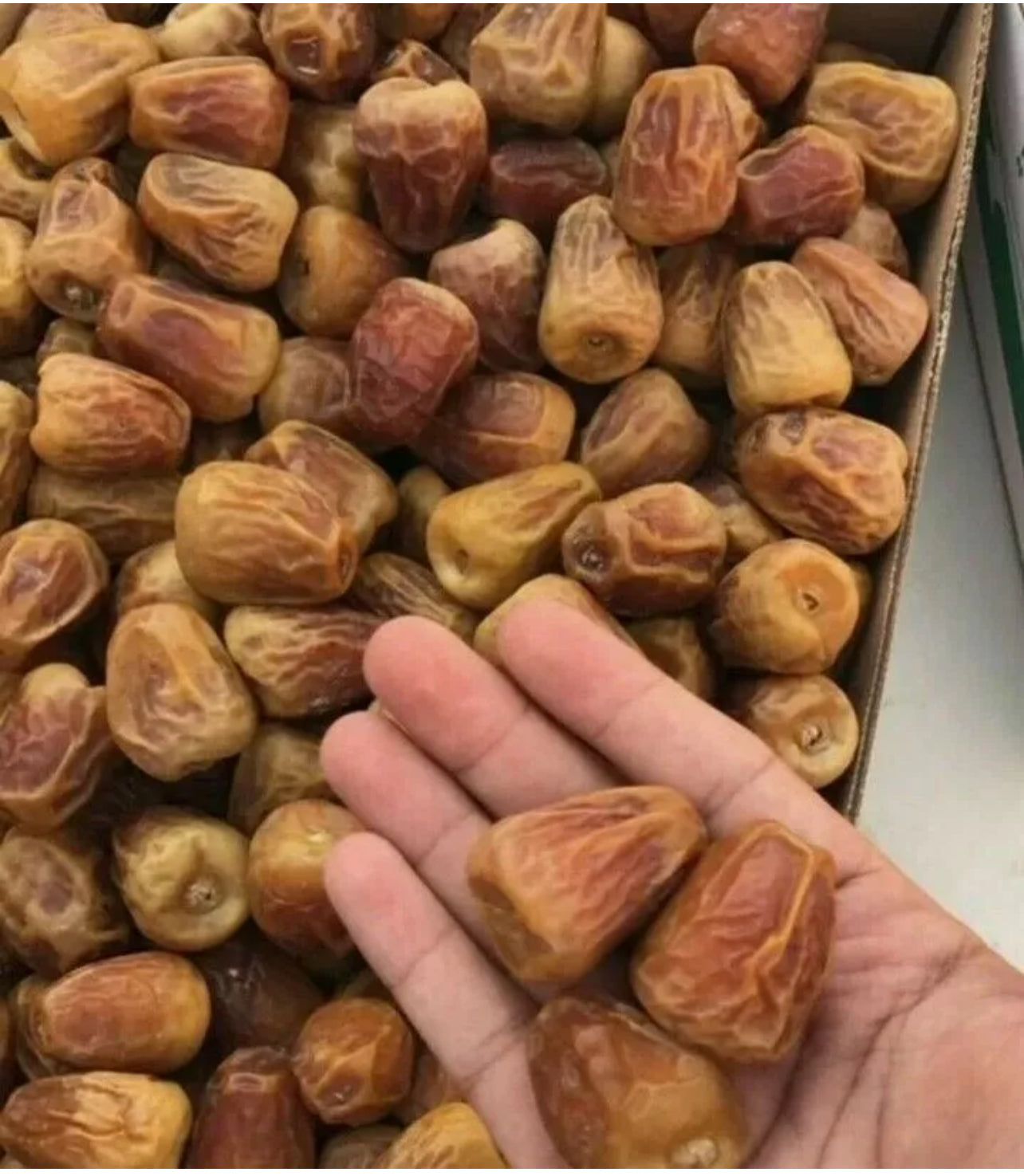 SHIPS FROM KUWAIT 2.95 KG 6.5 Sukkari dates premium تمر سكري ملكي مفتل